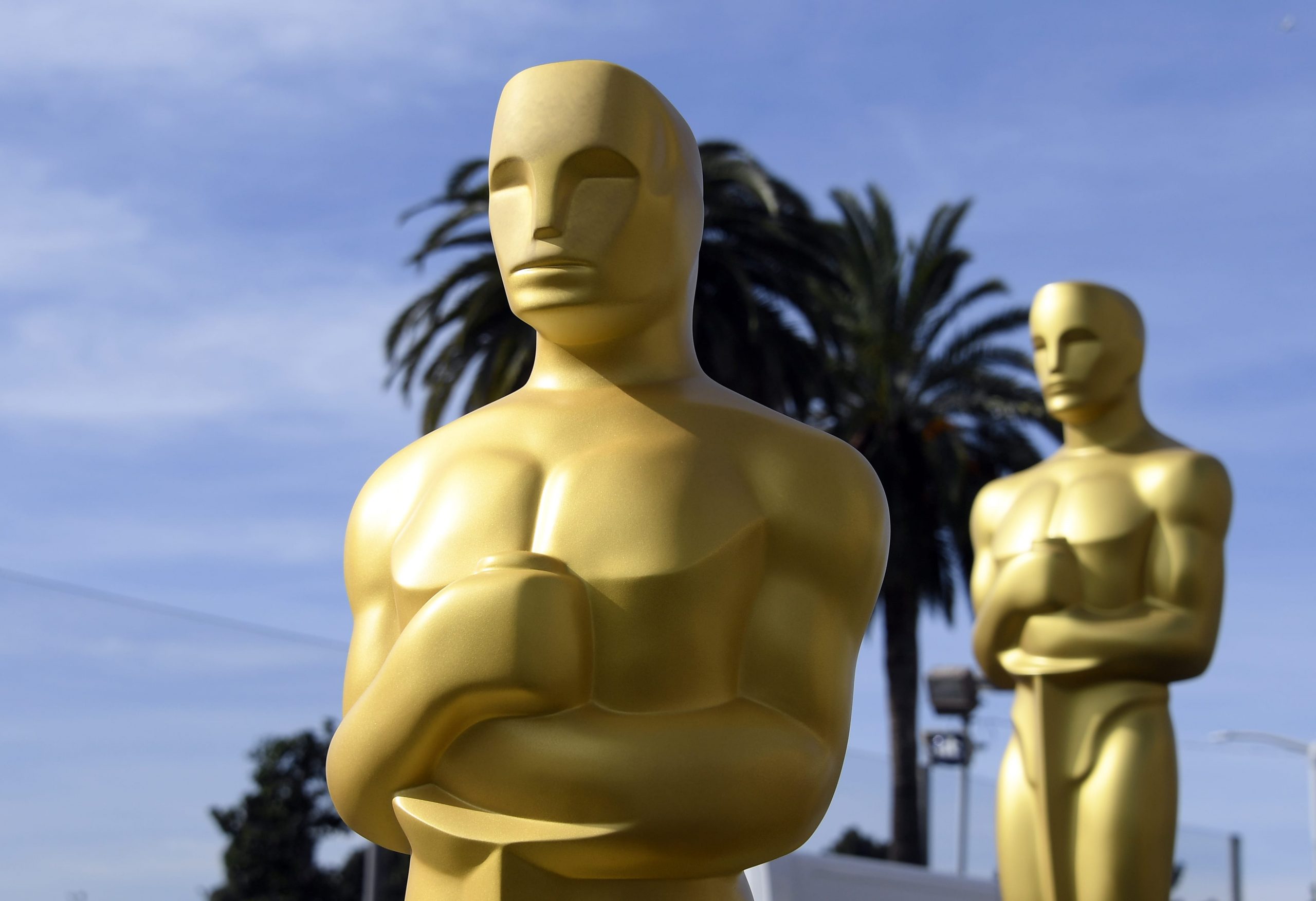 A Guide to Sounding Smart at Your Oscars Viewing Party