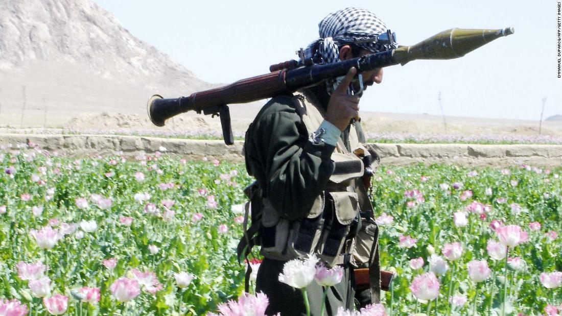 Afghanistan is the world's opium king. Can the Taliban afford to kill off their 'un-Islamic' cash cow?